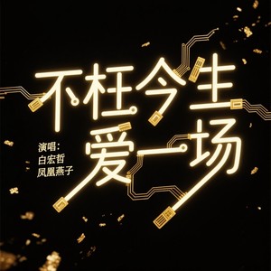 不枉今生爱一场