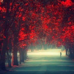 What you need (feat. Scizzie & Aro) (Explicit)