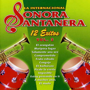 12 Éxitos la Internacional Sonora Santanera, Vol. 3