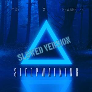 Sleepwalking (Slowed Version)