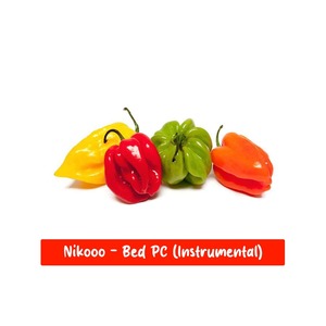 BED PC (Instrumental)
