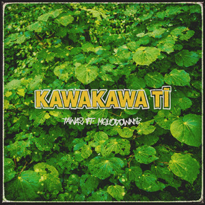 Kawakawa Tī