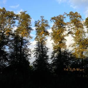 Shady(feat. TajTheBlessed)