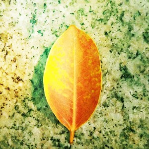 话茶山馆 (伴奏)