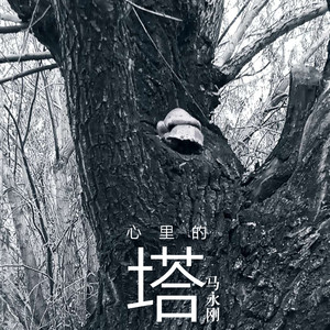 我静默着想念你 (伴奏)