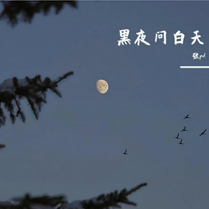 黑夜问白天 (50秒片段)