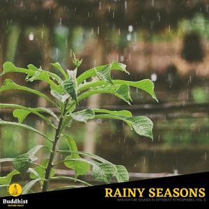 Rainy Seasons - Rain Nature Sounds in Different Atmospheres, Vol. 2