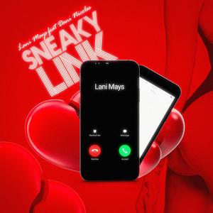 Sneaky Link (Officail Audio) (feat. Dani Nicolee) (Explicit)