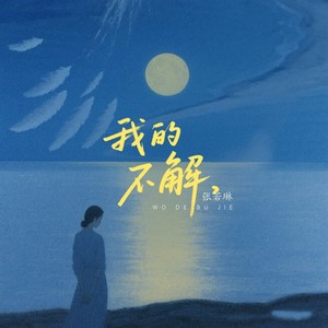 我的不解 (伴奏)