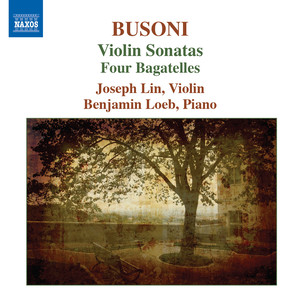 Violin Sonata No. 2 in E Minor, Op. 36a - I. Langsam -