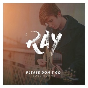 Please Don't Go (Ray Remix)