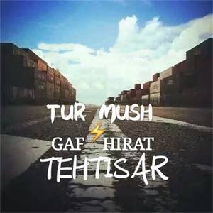 TUR MUSH