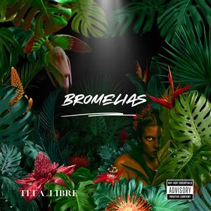 Bromelias