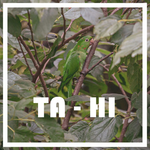 Ta-Hi