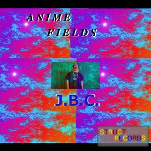 Anime Fields