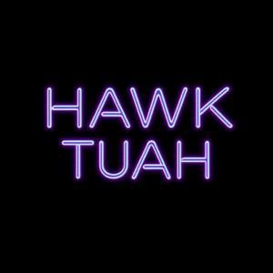 HAWK TUAH (feat. fewtile)