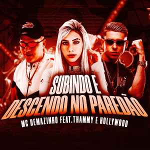 Subindo e Descendo no Paredão (feat. Thammy & MC Hollywood) [Explicit]