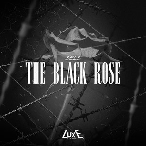 The Black Rose
