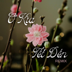 Mùa Xuân Của Mẹ (Remix)