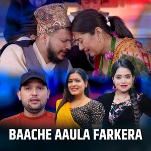 Baache Aaula farkera