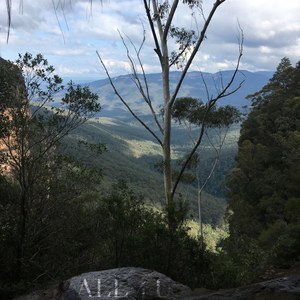 All 4 You (Explicit)