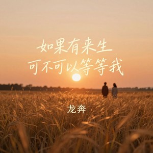如果有来生可不可以等等我 (伴奏)封面