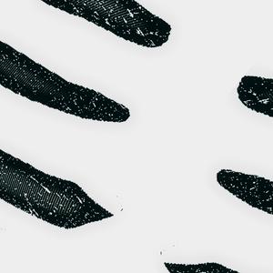 Dismantling the manifestation