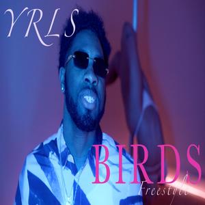 Birds (Explicit)