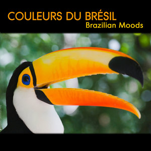 Couleurs du Brésil, Instrumental Brazilian Moods, Brazil