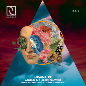 Havana (Jonnas B Remix)