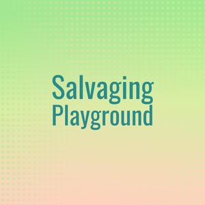 Salvaging Playground