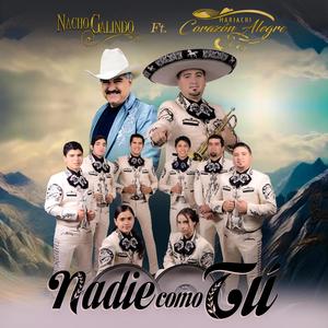 Nadie como tu (feat. Nacho Galindo)