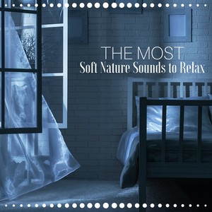 The Most Soft Nature Sounds to Relax, Fall Asleep and Sleep Through All Night