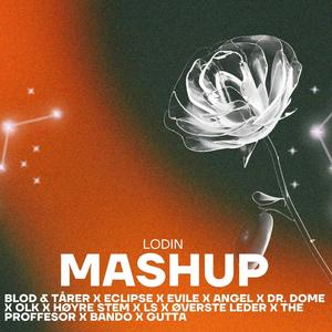 Mashup (feat. Blod & Tårer, Eclipse, EVILE, Angel, Dr. Dome, Olk, Høyre Stem, LS, Øverste Leder, The Proffesor, Bando & GUTTA)