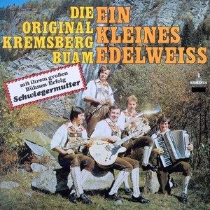 Ein kleines Edelweiss