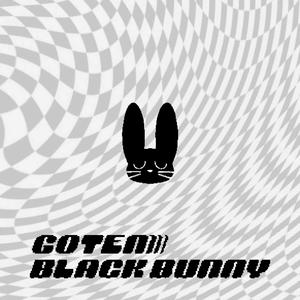 Black Bunny (Explicit)