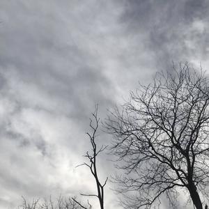 My Fangaz (feat. Yote) (Explicit)