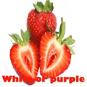 White or Purple