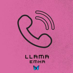 llama