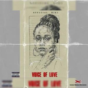 Voice Of Love (Deluxe) [Explicit]