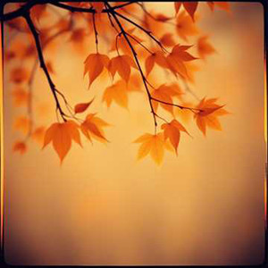 恰逢那年你明媚 (女版)