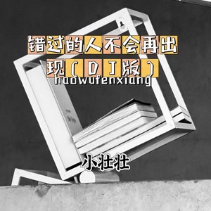 错过的人不会再出现 (DJ版)