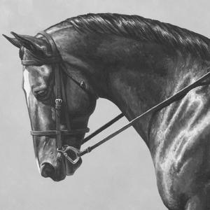 The Others(feat. Athena Renee) (Explicit)