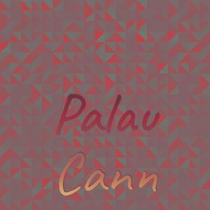 Palau Cann