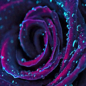 Beautiful Flower Pt. 1