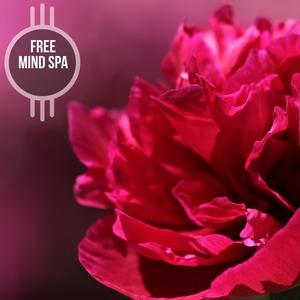 Free Mind Spa