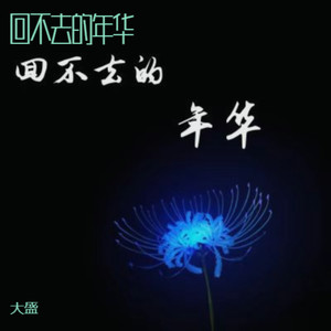 回不去的年华 (伴奏)