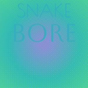 Snake Bore