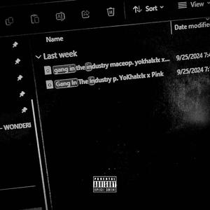 Gang In The Industry (feat. Auge$t!!) (Explicit)