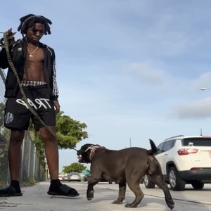 DRIP (Explicit)